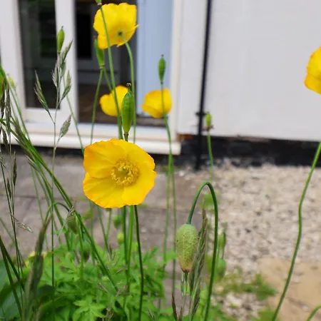 94 Church Street Dom wakacyjny Guisborough